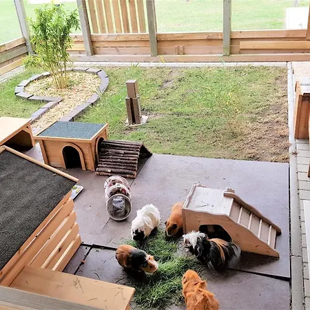 Am Alten Speicher 4 Prázdninový dům *